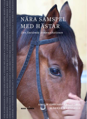 Sk&auml;rmavbild 2018-11-21 Kl. 10.24.00