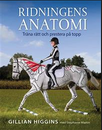 Sk&auml;rmavbild 2018-11-21 Kl. 16.31.57