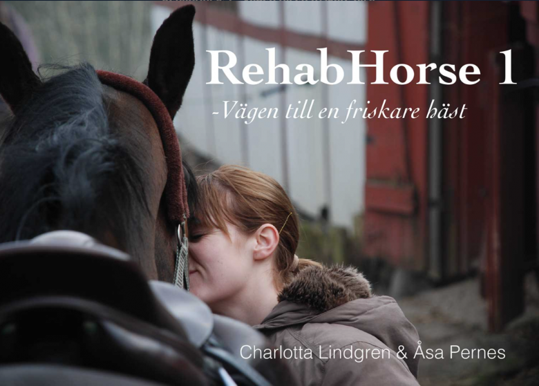 Sk&auml;rmavbild 2018-11-21 Kl. 17.12.17