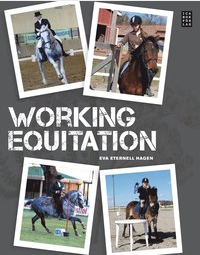 Sk&auml;rmavbild 2018-11-22 Kl. 09.58.30