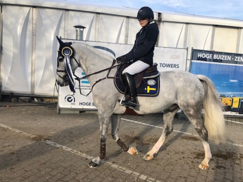 Stark start av Ebba Danielsson i Mechelens ponnyfinal