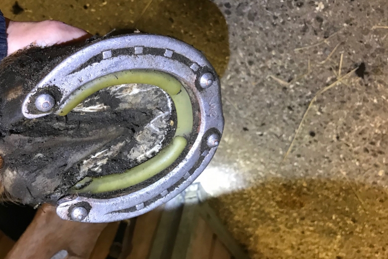 Hovslagaren om varför snösulor kan ge smärta