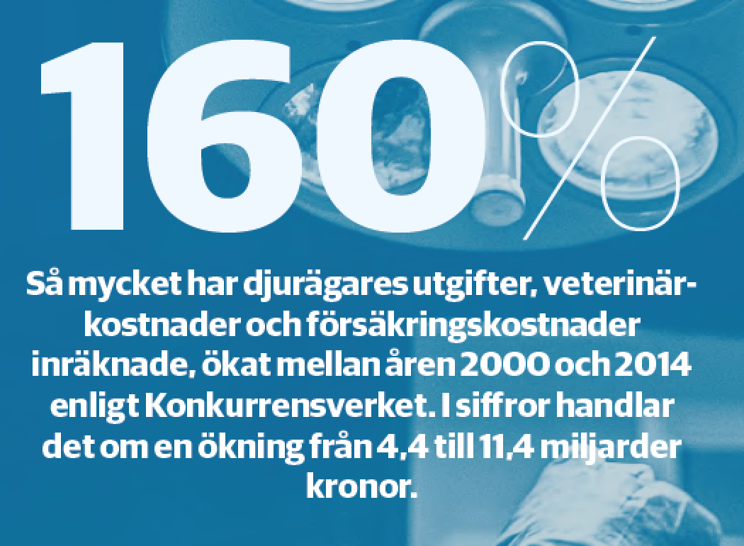 Siff