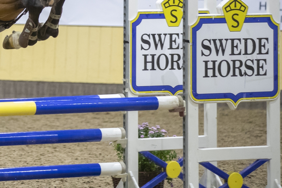 Swede Horse får böta 25 000 kronor för händelsen på Breeders