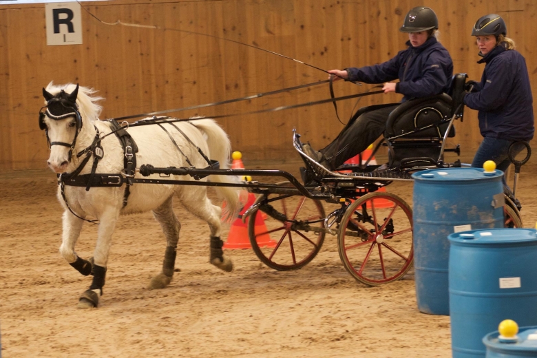 Stort intresse för Hjulkul