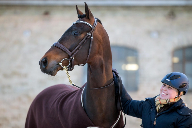 Datum för årets avelsvärderingar