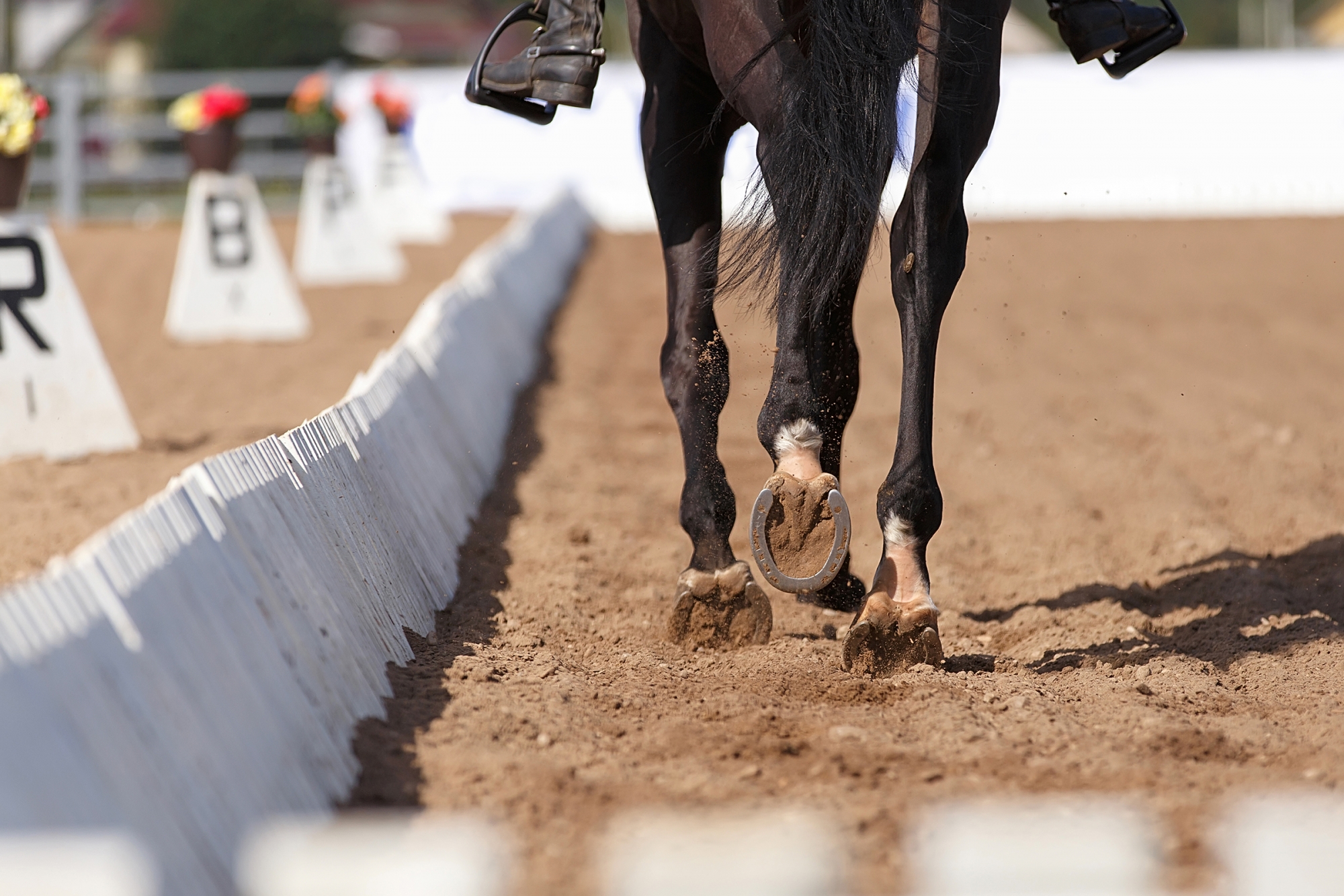Close Up Of The Horse Shoe In Motion. Dressage Competition.