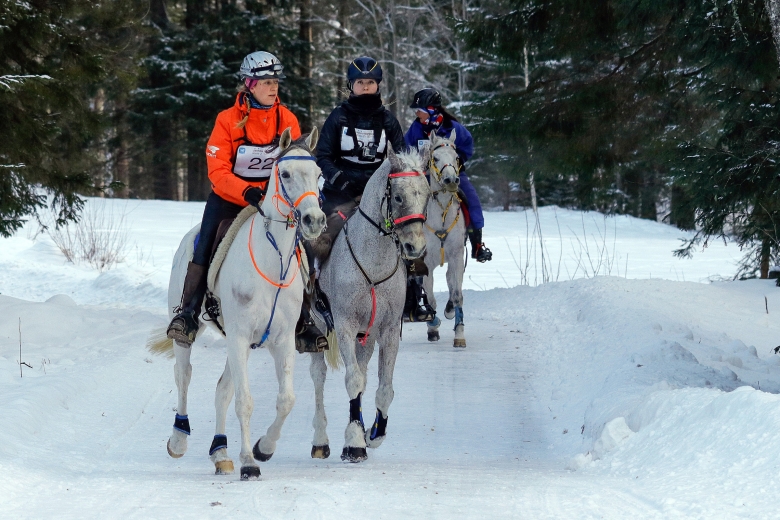 Vasaritten lockar distansryttare från sex nationer