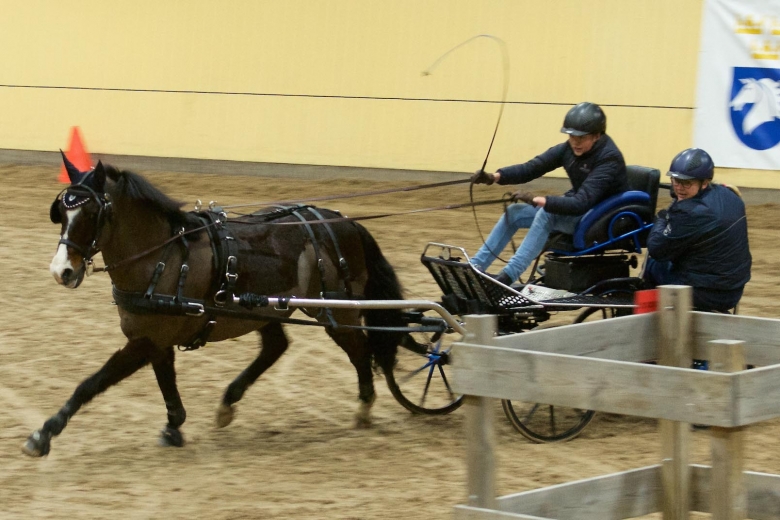 Laddade ponnyer i spännande duellkörning