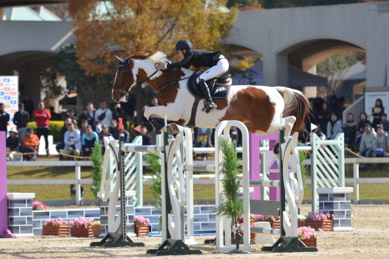 Svensk-japansk skäck kan bli GHS-publikens nya favorit