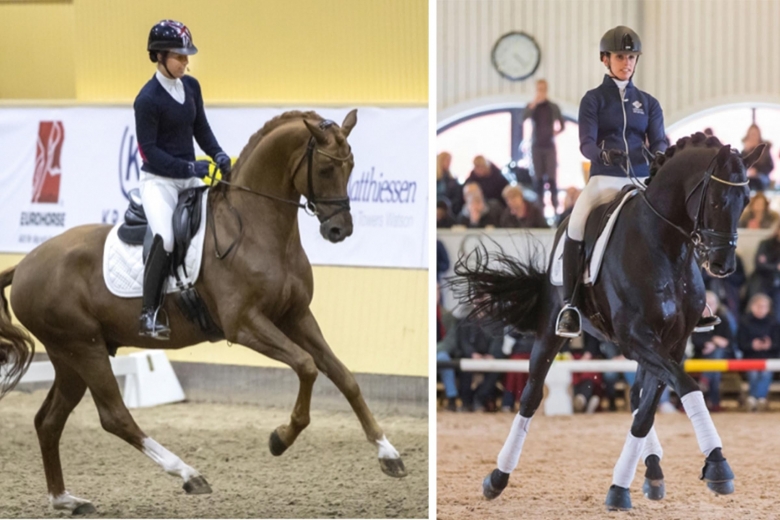 Trippelkrock för svensk avel