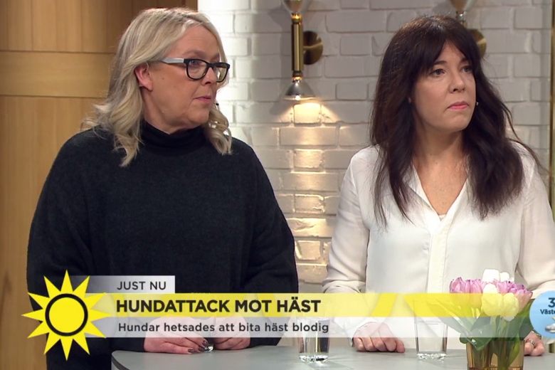 Om hundattacken: ”Det blev fullständig panik”