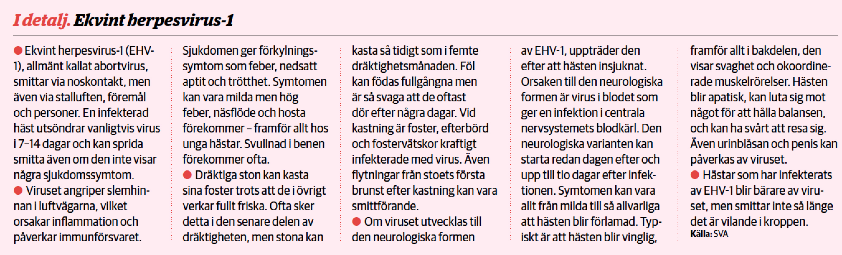 Ehvfakta