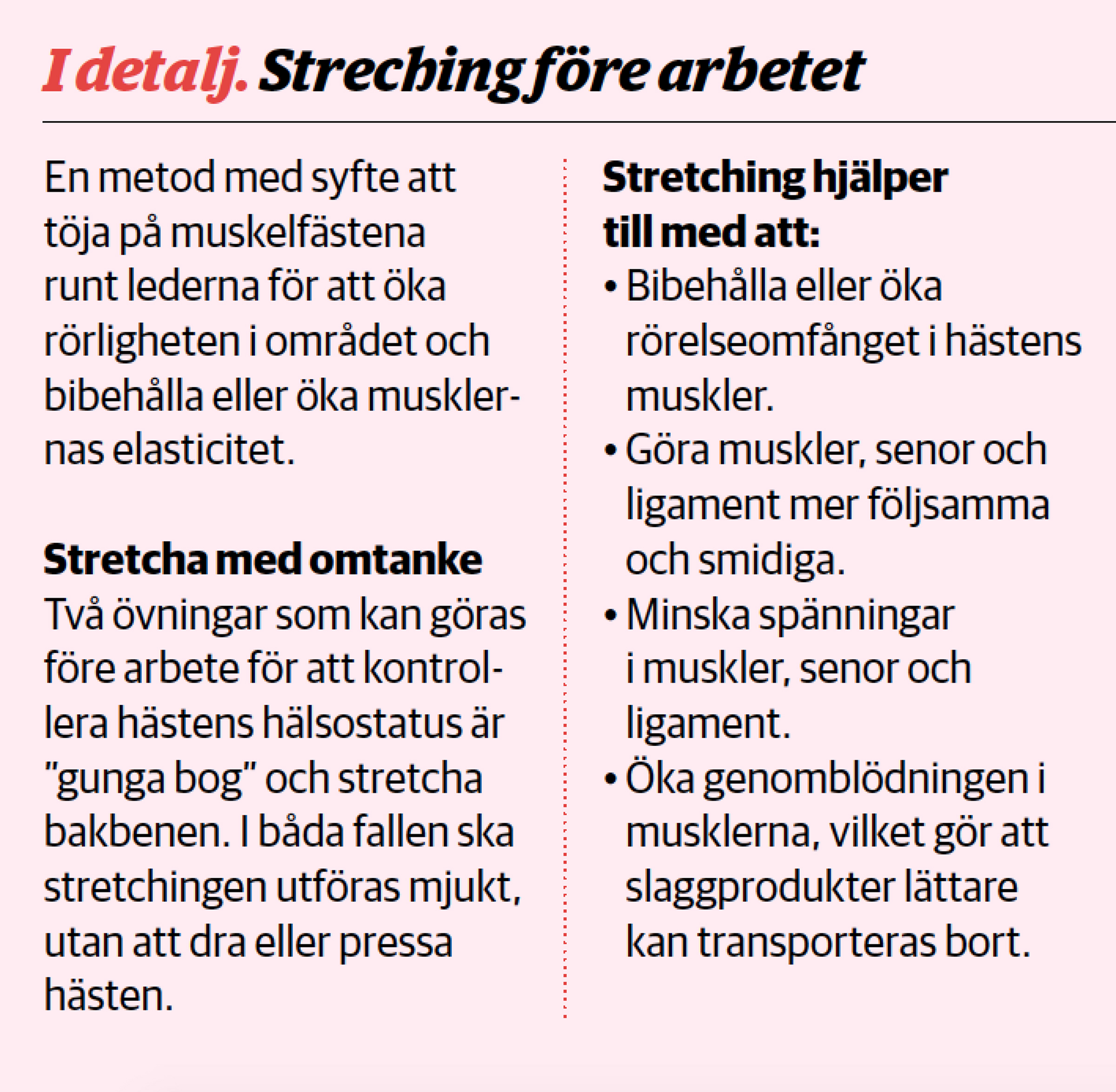 Faktastretch