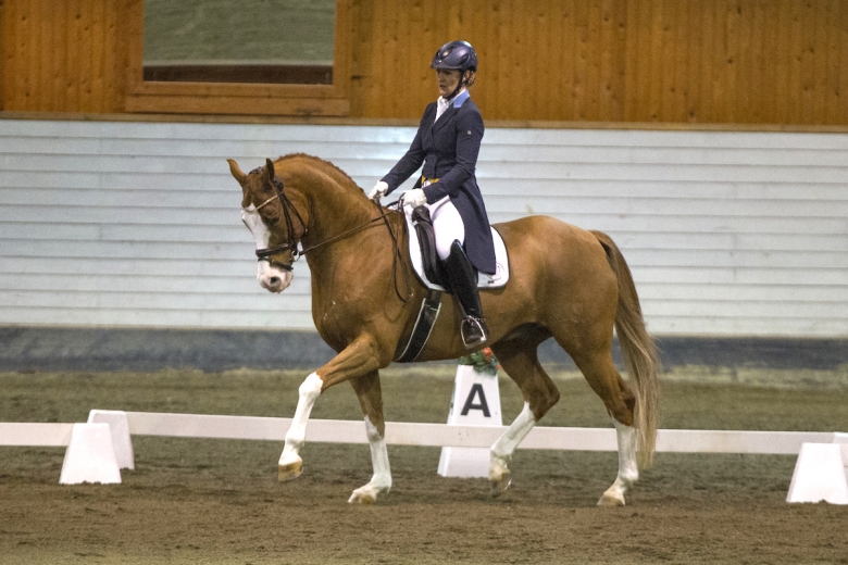 Stor svenskdag i Polen: ”Vi har haft så roligt”