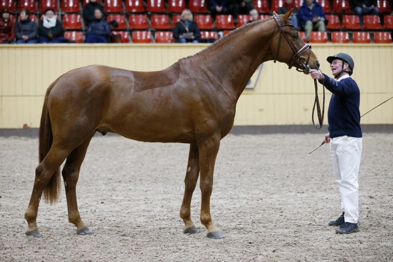 Tidigare bruksprovsvinnare kastrerad