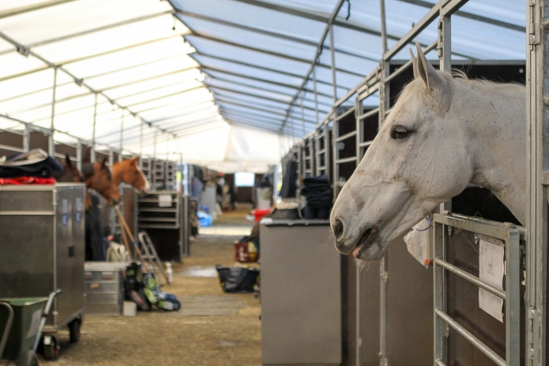 Svensk stortävling ställs in av smittskyddsskäl