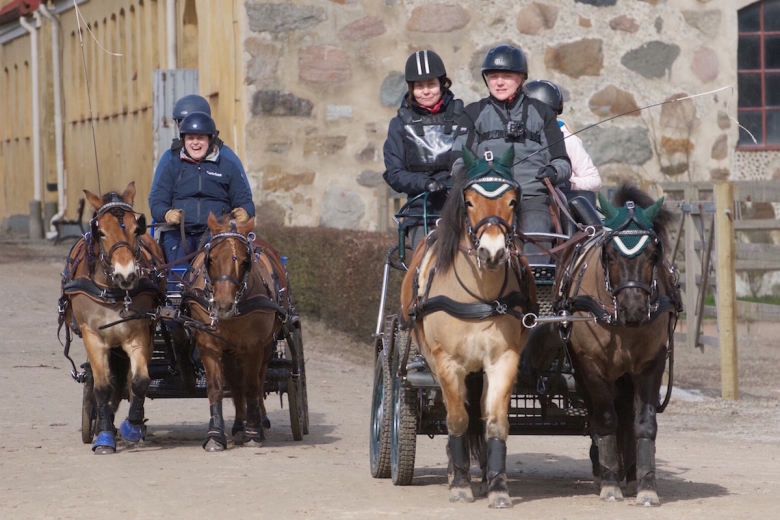Hjulkulsfinalen rullade på i Flyinge