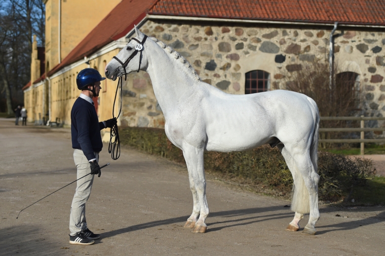 Därför blev Coupe de Coeur inte godkänd direkt