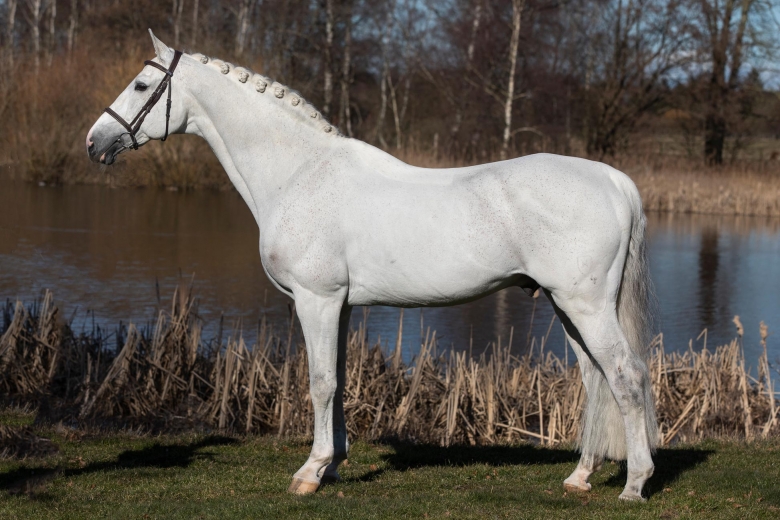 Coup de Coeur får dispens och godkänns i SWB