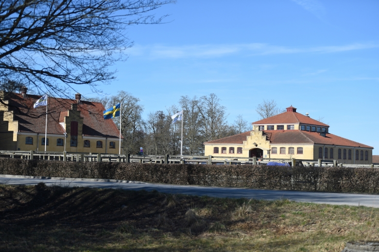 Fredag på bruksprovet: exteriörbedömning direktkvalade