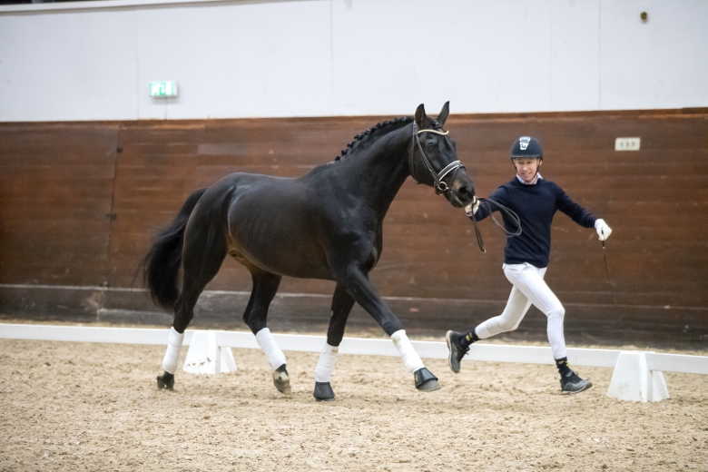 Ridsport
