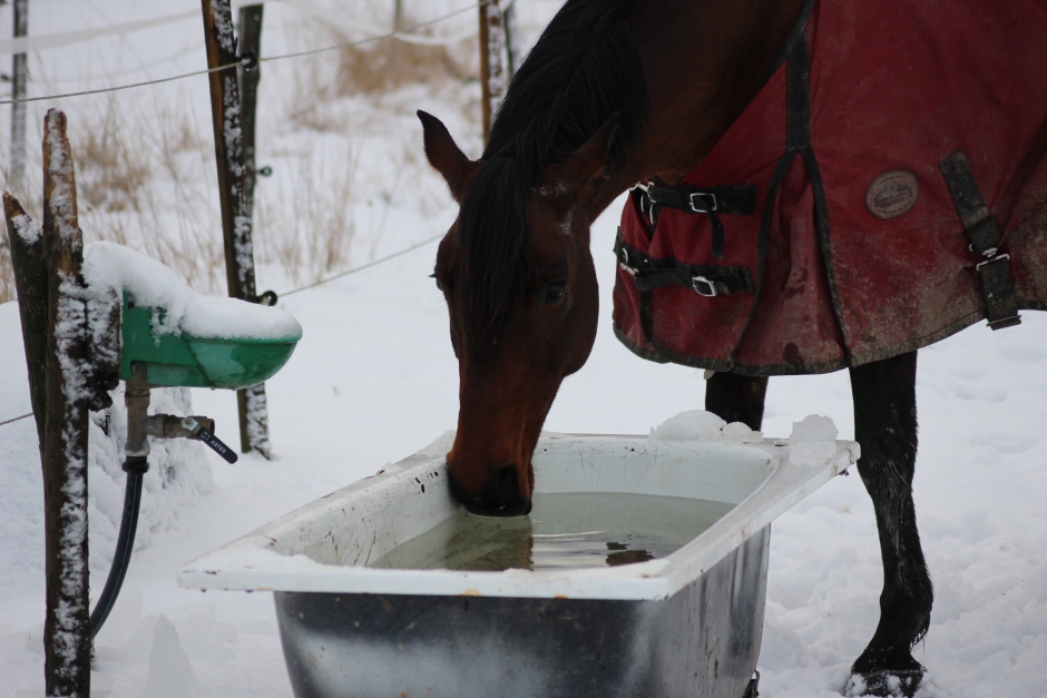 Vattnet fryser – men det behöver inte bli farligt