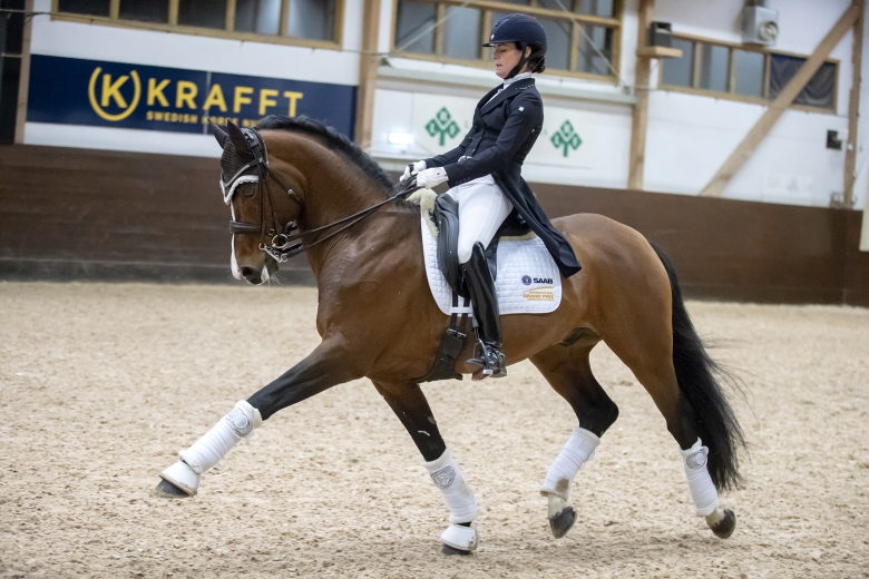 Ridsport