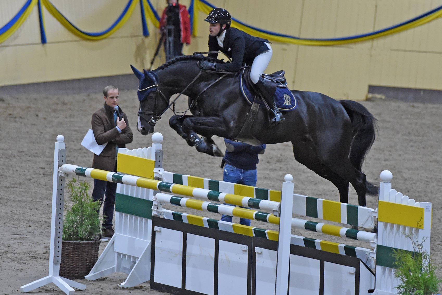Baloutaire 9348 (OLD hingst f-11 e Balou du Rouet u Chataire e Chacco Blue-Voltaire, uppf Gest&uuml;t Lewitz)