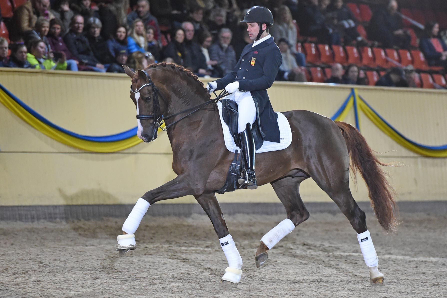 Severo Jurado Lopez med Eye Catcher (KWPN hingst f-09 e Vivaldi u Ostrona e TCN Partout-Dublin)