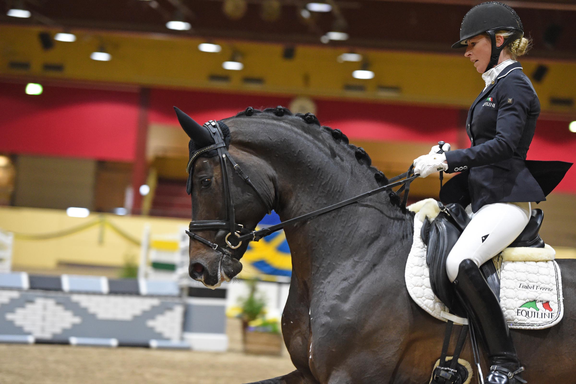 Isabel Freese med Feinrich (OLD hingst f-13 e F&uuml;rst Heinrich u Gesina e Sir Donnerhall I-Don Schufro)