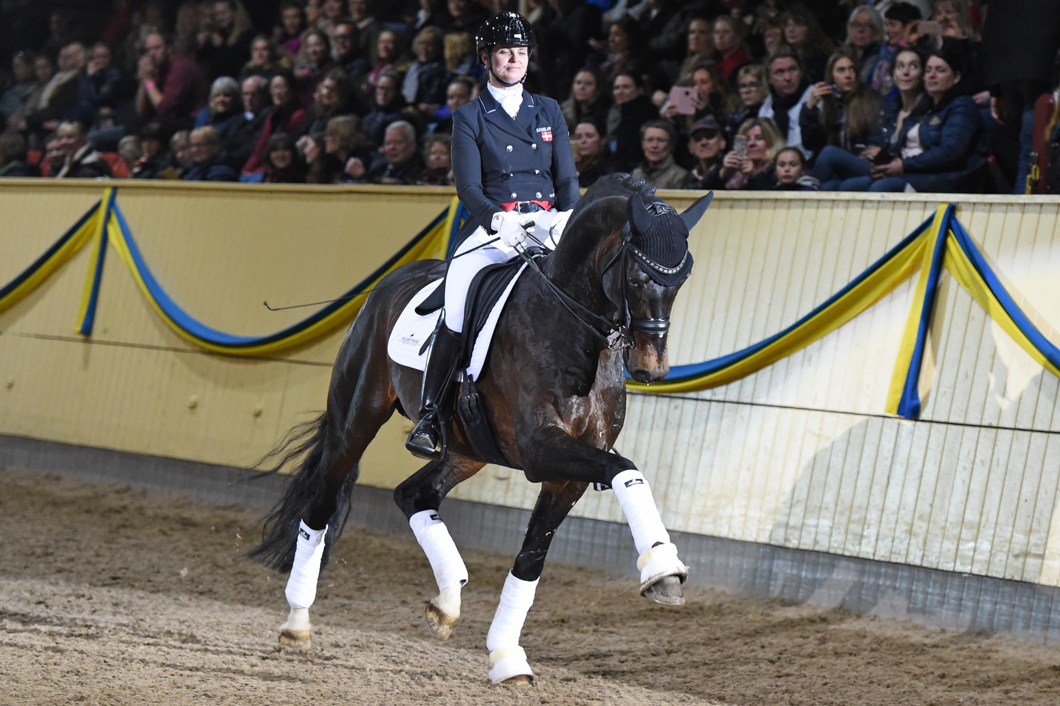 Bettina J&auml;ger med Franklin 9118 (KWPN hingst f-10 e Ampere u Wakle M e Ferro-Flemmingh)