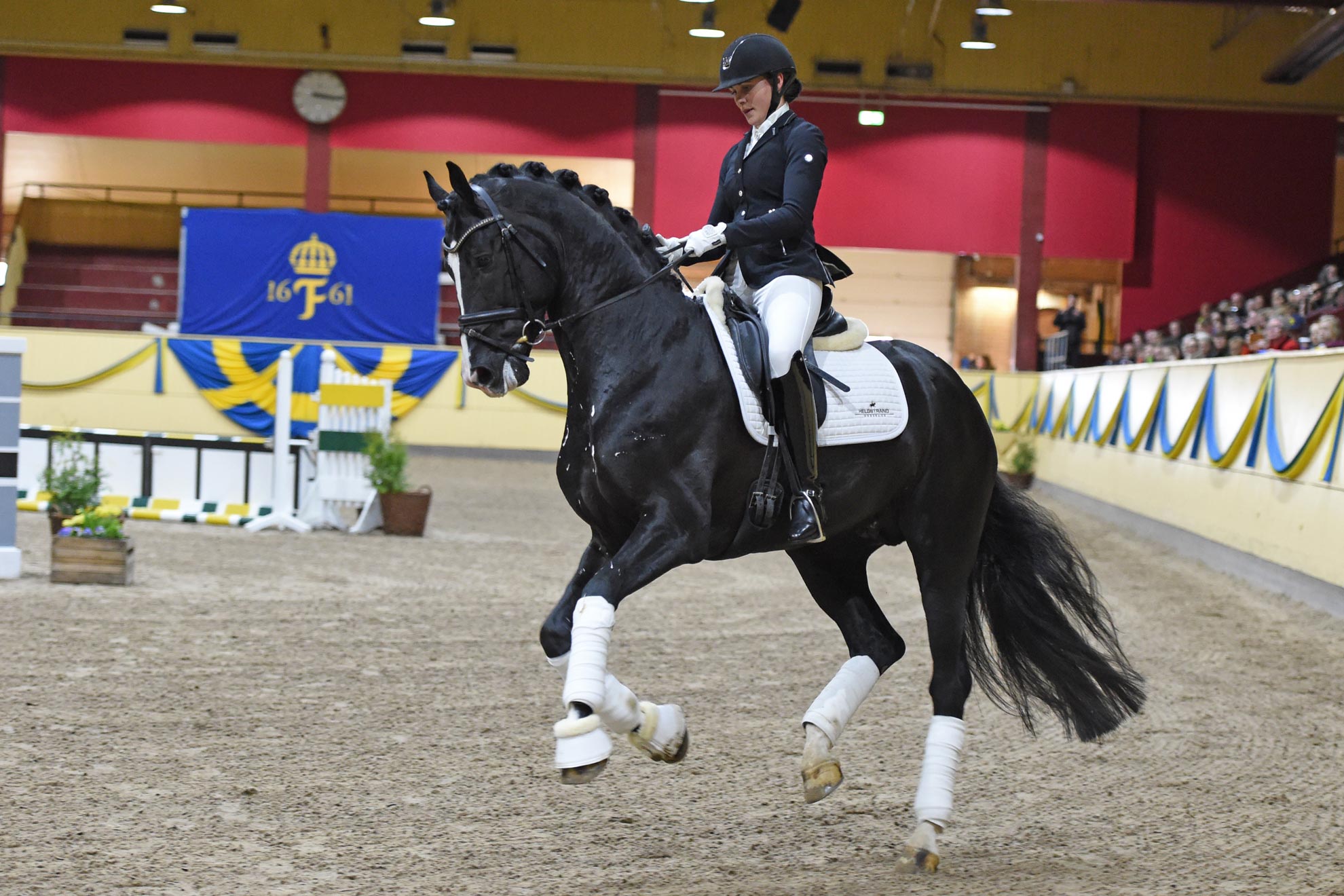 Victoria Valentin med Janeiro Platinum 9358 (KWPN hingst f-14 e Sezuan u Black Beaty L. Platinum e UB40-Ferro)