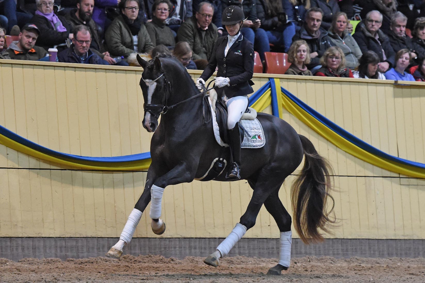 Isabel Freese med Sezuan's Donnerhall (OLD hingst f-15 e Sezuan u Siola e Sir Donnerhall I-Blue Hors Don Schufro)