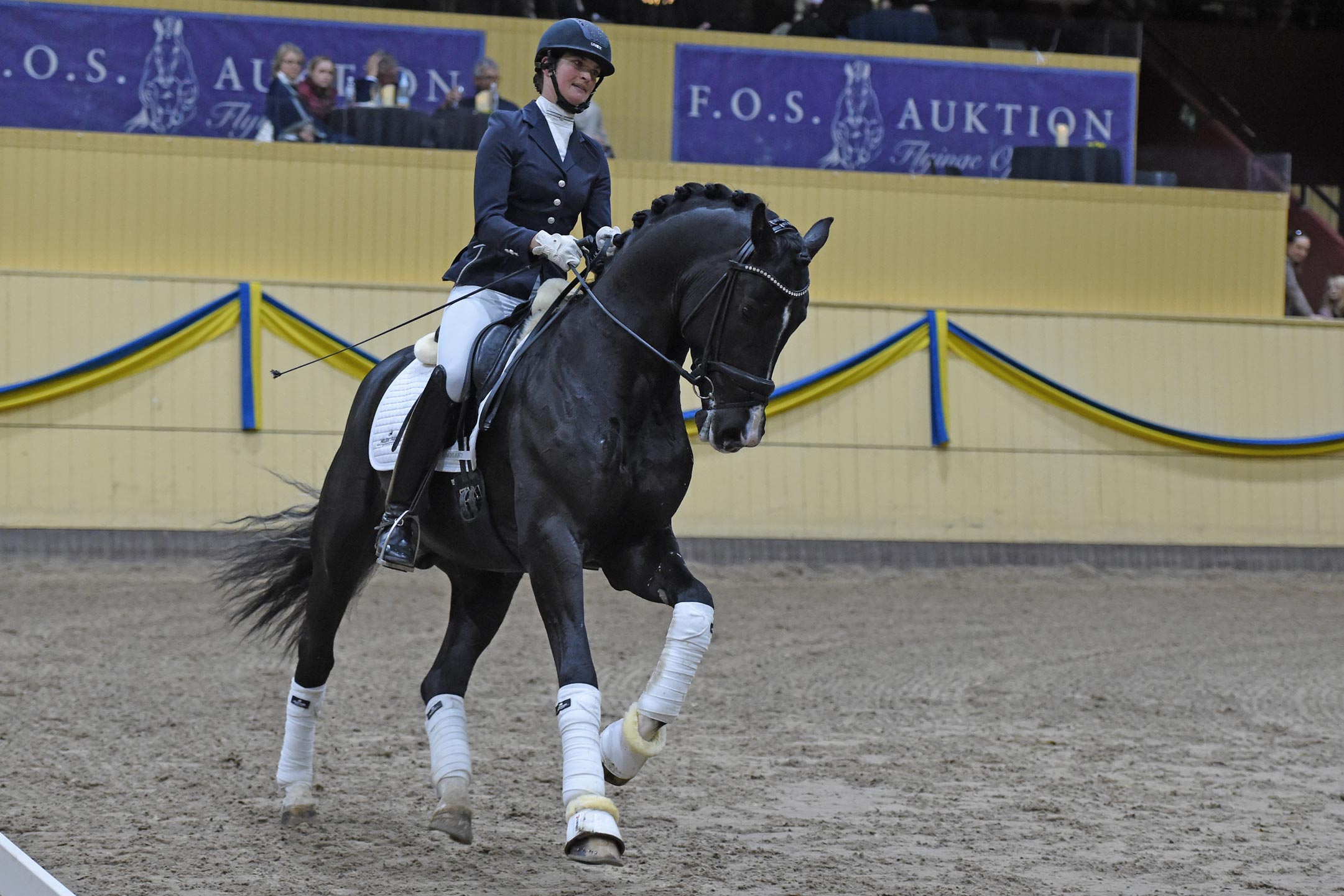 Madeleine Bendefeldt med Suarez 1388 (HANN hingst f-15 e Sezuan u Damandala e Desperados-Rotspon, uppf ZG Judith och S&ouml;nke Schmidt, &auml;g Helgstrand Dressage A/S)