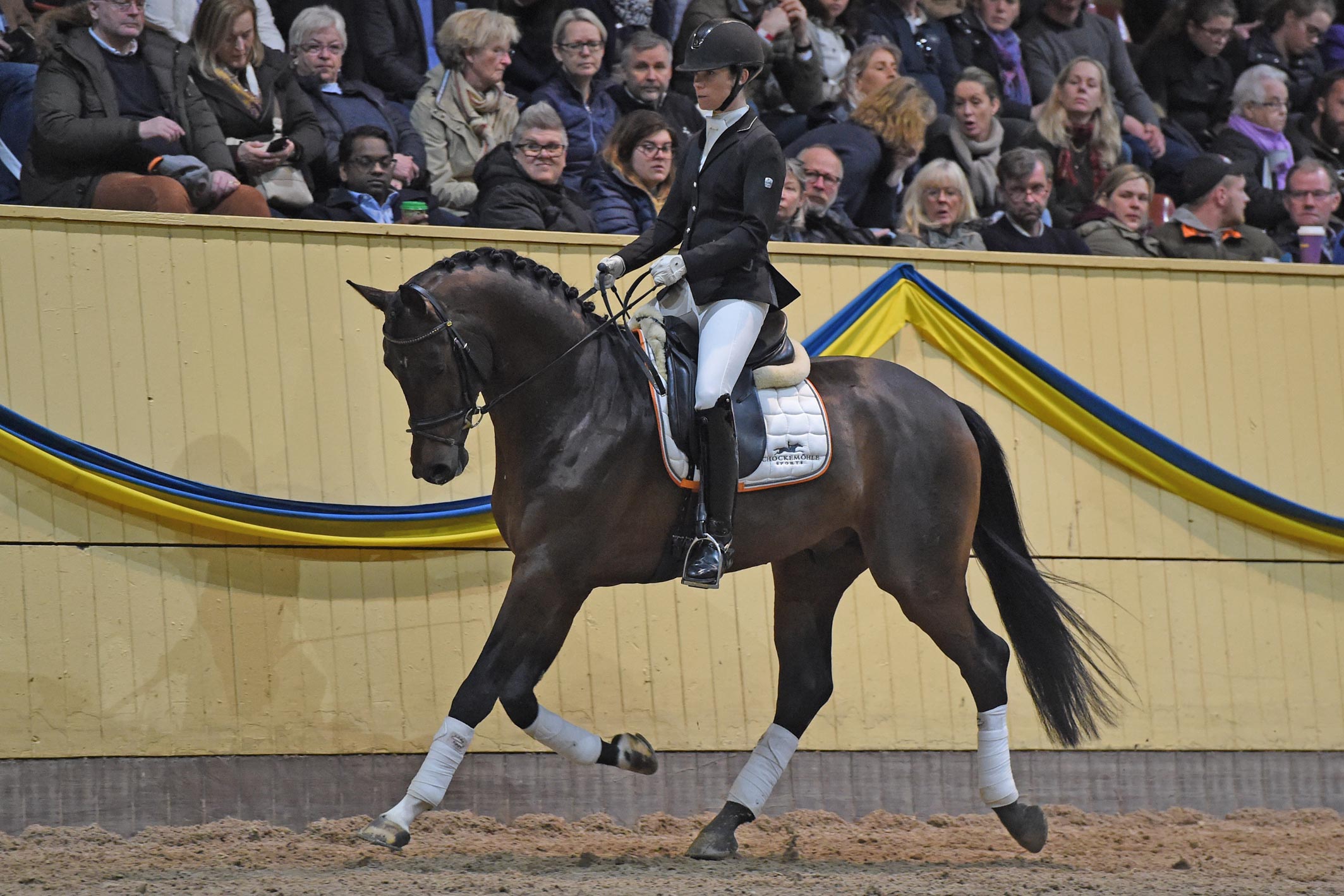 Pernilla Andr&eacute; Hokfelt med Vivaldon 1372 (OLD hingst f-15 e Vivaldi u Loxandra e Diamond Hit-Argentinus, uppf Gest&uuml;t Lewitz, &auml;g Paul Schockem&ouml;hle Pferdehaltung GmbH)