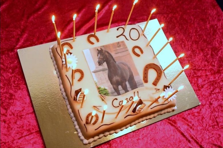 Stort kalas när Casall fyllde 20 år