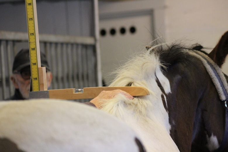 Tvister om ponnymätning kan vara över