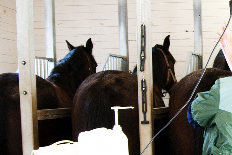 Fusk med rapportering lurar stoägarna