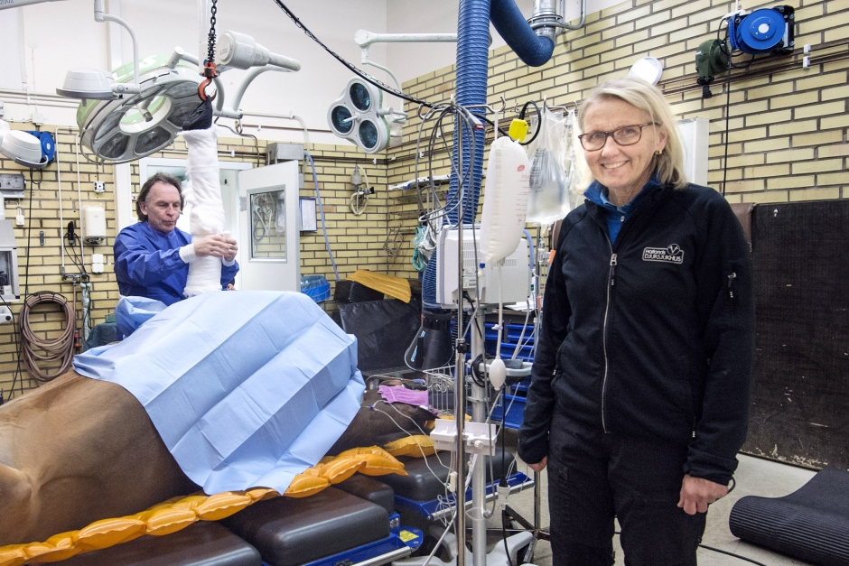 ”Jag tror att en veterinär är bättre än en ekonom på att driva ett djursjukhus”