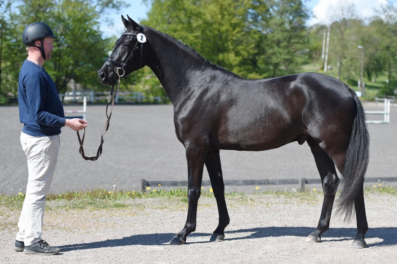 Toppbetyg i gång för Ampere-son i Åstorp