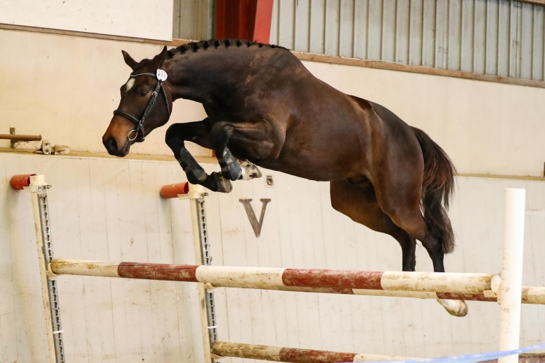 Toppresultatet kom som en chock