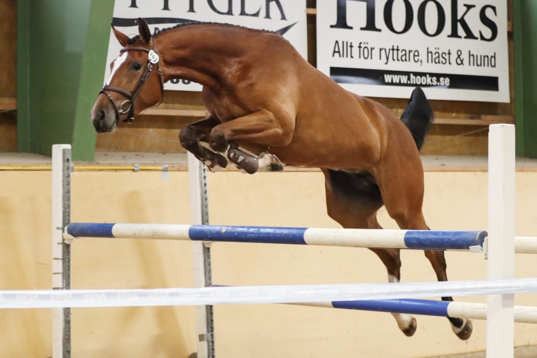 Årets högsta poäng delades ut på Grevagården