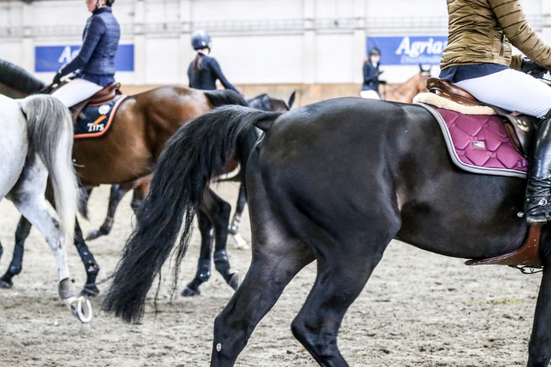 Besiktning på tävling – vad är det som gäller?