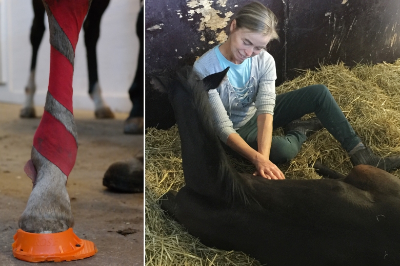 Massage och kiropraktik hjälper till att korrigera sneda fölben