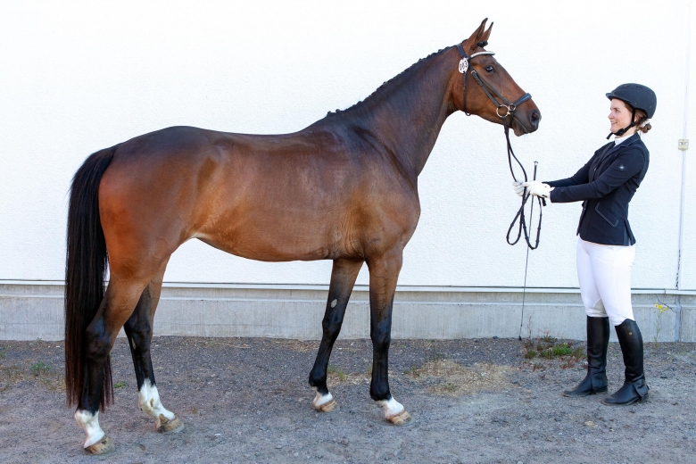 Luna kvalade till Breeders från Boden