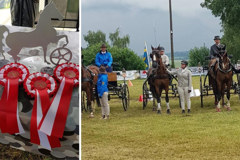 Camilla Lind och Aramis i toppform