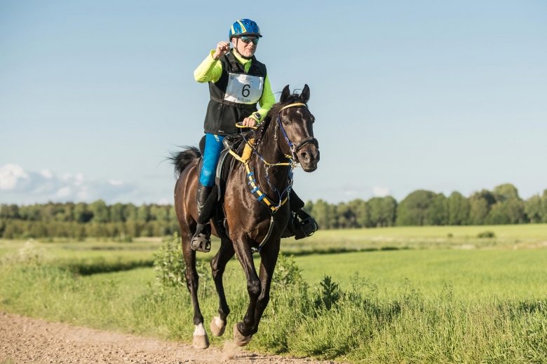 SM-guldet till Hadari och Kjell