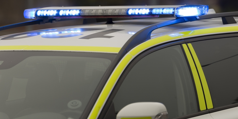 Häst påkörd av buss – fick avlivas