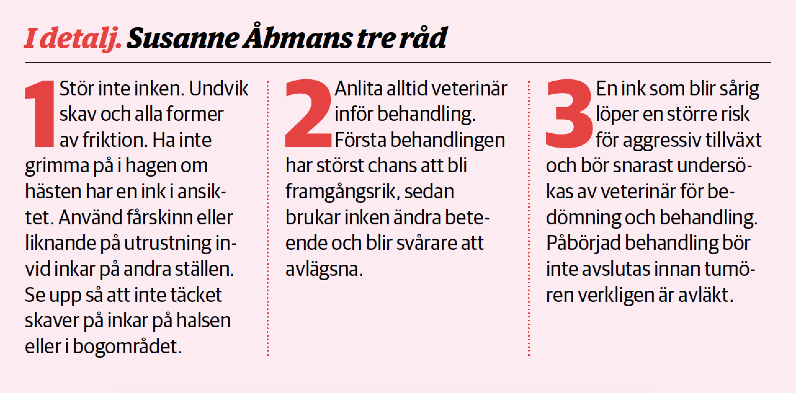 Susannesråd